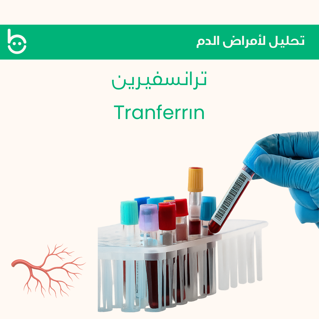 ترانسفيرين / Тranferrіn