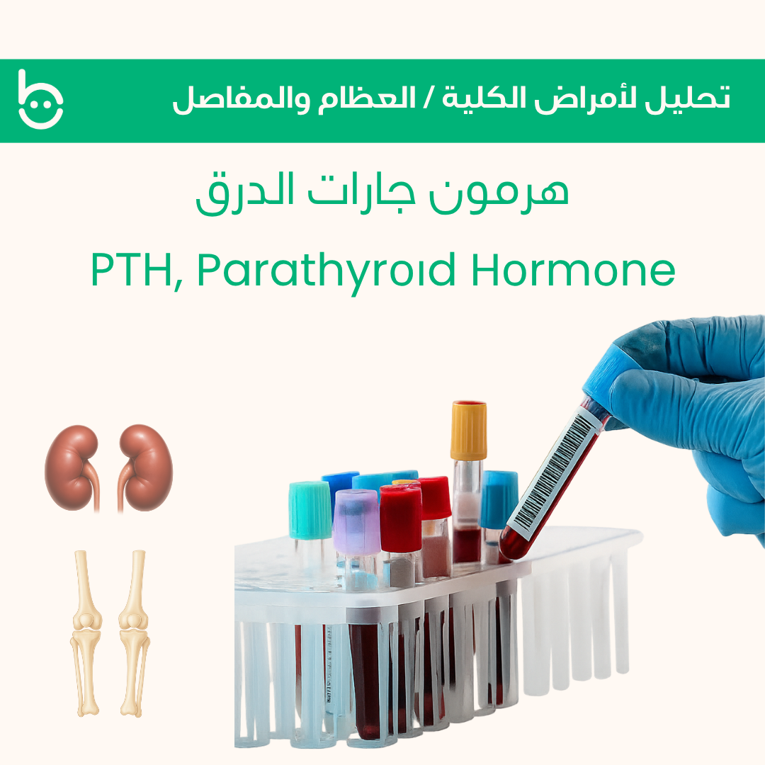 هرمون جارات الدرق / РТН , Parathyrоіd Hоrmоne